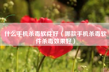 什么手机杀毒软件好（哪款手机杀毒软件杀毒效果好）