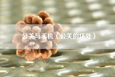 公关与手机（公关的坏处）