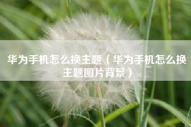 华为手机怎么换主题（华为手机怎么换主题图片背景）
