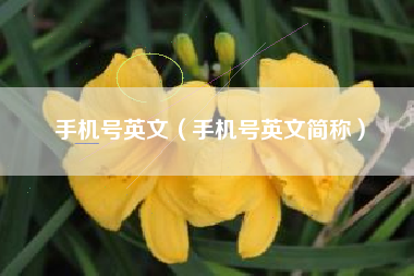 手机号英文（手机号英文简称）