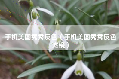 手机美图秀秀反色（手机美图秀秀反色滤镜）