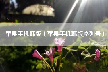 苹果手机韩版（苹果手机韩版序列号）