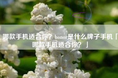 哪款手机适合你？honor是什么牌子手机「哪款手机适合你？」