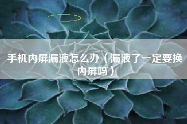 手机内屏漏液怎么办（漏液了一定要换内屏吗）