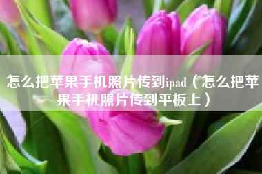 怎么把苹果手机照片传到ipad（怎么把苹果手机照片传到平板上）