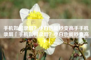 手机如何录屏？小白也能秒变高手手机录屏「手机如何录屏？小白也能秒变高手」