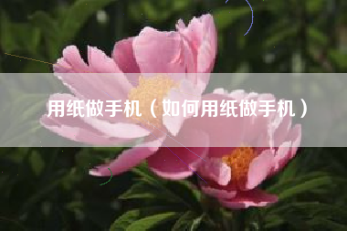 用纸做手机（如何用纸做手机）