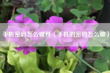 手机密码怎么破开（手机的密码怎么破）