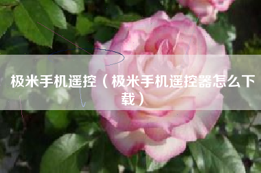 极米手机遥控（极米手机遥控器怎么下载）
