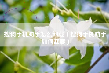 搜狗手机助手怎么卸载（搜狗手机助手如何卸载）