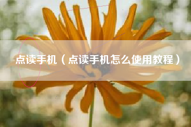 点读手机（点读手机怎么使用教程）