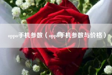 oppo手机参数（oppo手机参数与价格）