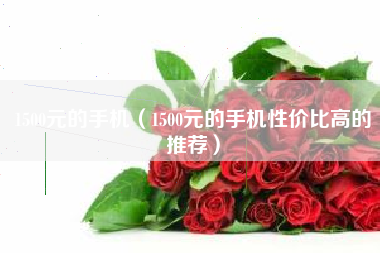 1500元的手机（1500元的手机性价比高的推荐）