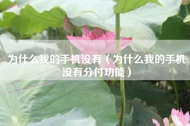 为什么我的手机没有（为什么我的手机没有分付功能）
