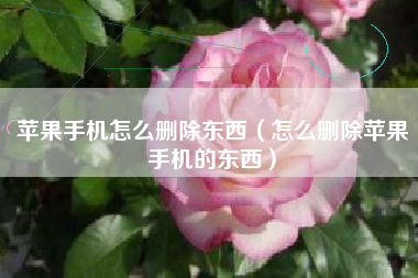 苹果手机怎么删除东西（怎么删除苹果手机的东西）