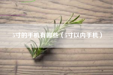5寸的手机有哪些（5寸以内手机）