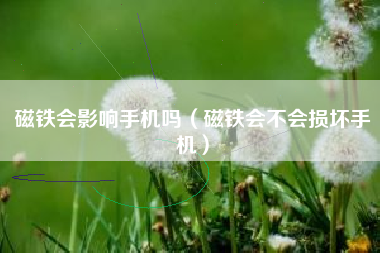 磁铁会影响手机吗（磁铁会不会损坏手机）