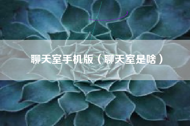 聊天室手机版（聊天室是啥）