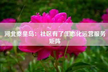 河北秦皇岛：社区有了生态化运营服务矩阵