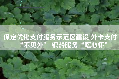 保定优化支付服务示范区建设 外卡支付“不见外” 银龄服务“暖心怀”