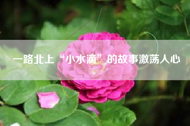 一路北上“小水滴”的故事激荡人心