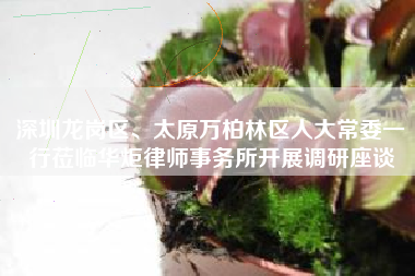 深圳龙岗区、太原万柏林区人大常委一行莅临华炬律师事务所开展调研座谈