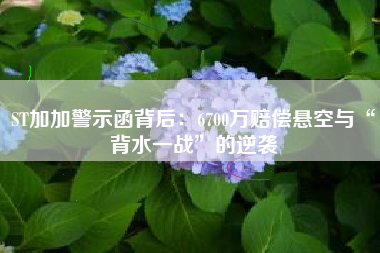 ST加加警示函背后：6700万赔偿悬空与“背水一战”的逆袭
