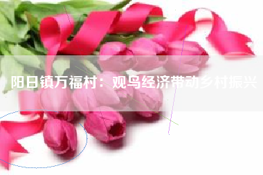 阳日镇万福村：观鸟经济带动乡村振兴