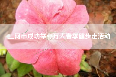 三河市成功举办万人春季健步走活动