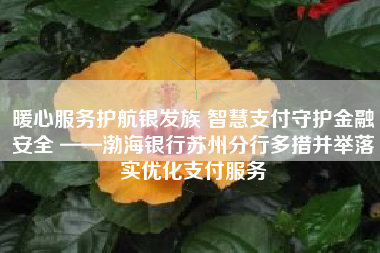 暖心服务护航银发族 智慧支付守护金融安全 ——渤海银行苏州分行多措并举落实优化支付服务