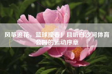 风筝追花，篮球撞春！且听白沙河体育公园的运动序章