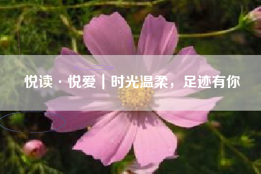 悦读·悦爱｜时光温柔，足迹有你