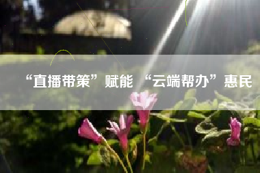 “直播带策”赋能 “云端帮办”惠民