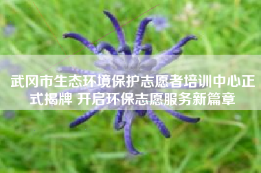 武冈市生态环境保护志愿者培训中心正式揭牌 开启环保志愿服务新篇章